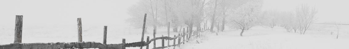 Vademecum Neve Vademecum Neve
